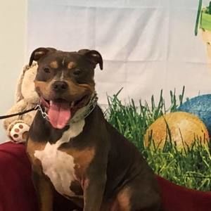 Meet your Posher, Scott